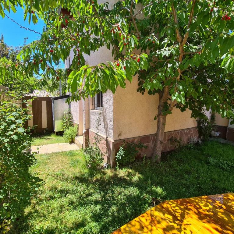 CHOCHO - Cálida casita céntrica hasta 4 pax - Casa con 1 dormitorio - 12