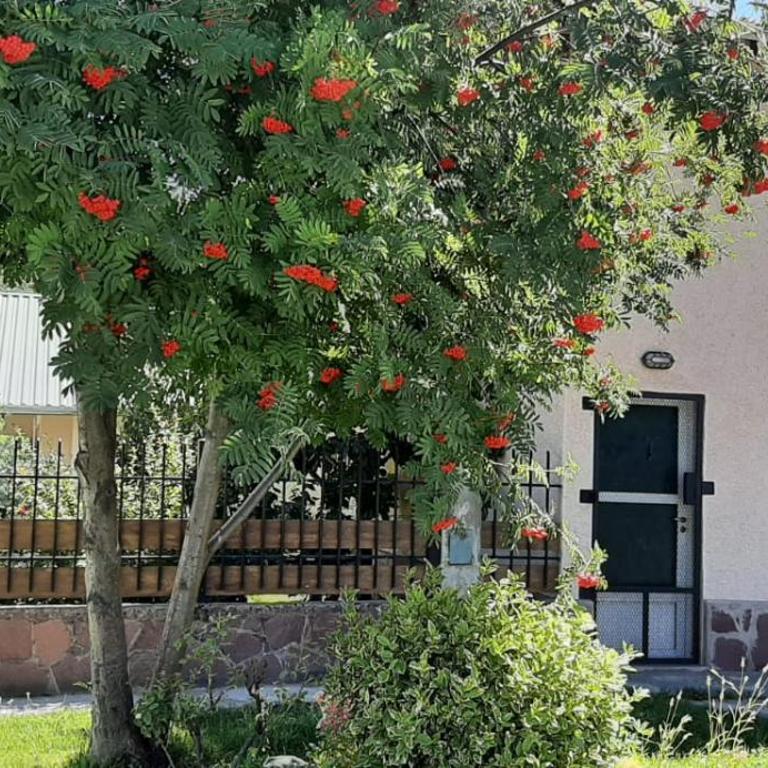 CHOCHO - Cálida casita céntrica hasta 4 pax - Casa con 1 dormitorio - 13