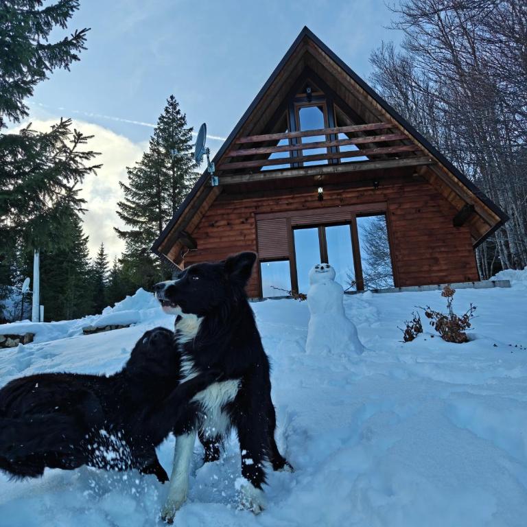 Highlander guesthouse Žabljak - Kuća sa 2 Spavaće Sobe - 52