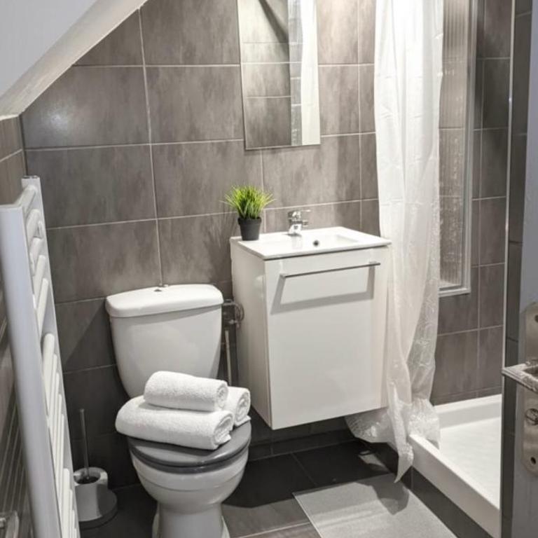 Le Cocon de la Cathédrale au cœur de Metz - Appartement 1 Chambre - 9
