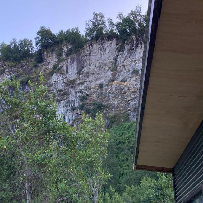 Cabaña el arenal, Lago Ranco-Playa el arenal - One-Bedroom House - 23