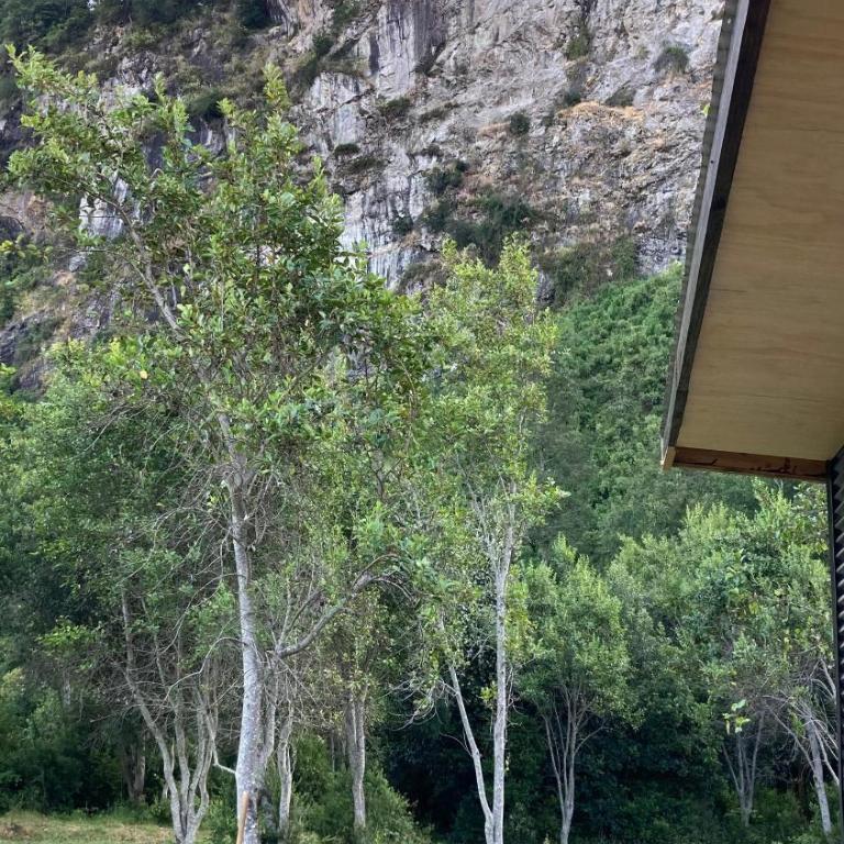 Cabaña el arenal, Lago Ranco-Playa el arenal - One-Bedroom House - 22