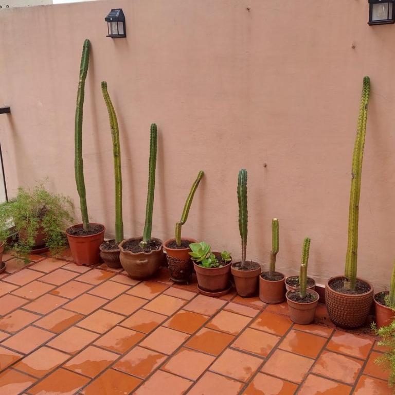 Departamento con terraza en Recoleta - Apartamento de 1 dormitorio con terraza - 7