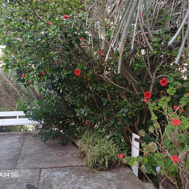 Casa de veraneo - Two-Bedroom House - 21