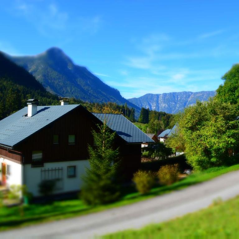 Apartment Ivkadan - Apartment with Mountain View - 4
