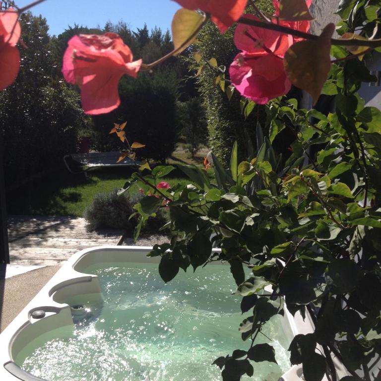 Chambres d'hotes Deluxe Jacuzzi Mas de l'Etoile - Suite Deluxe avec Lit King-Size - 9