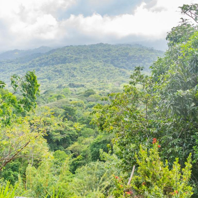 Jardin Secreto Tayrona - Tent - 8