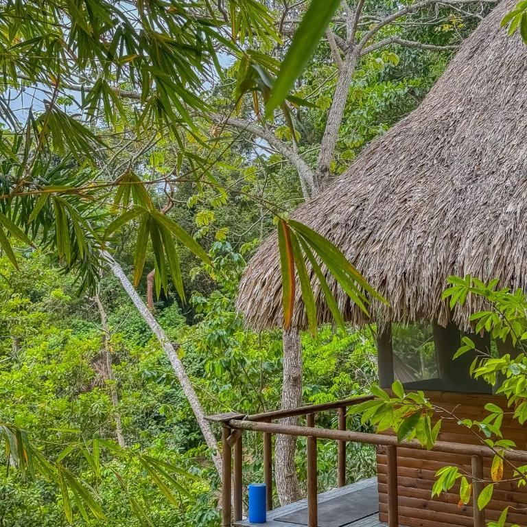 Jardin Secreto Tayrona - Bed in 4-Bed Mixed Dormitory Room - 1