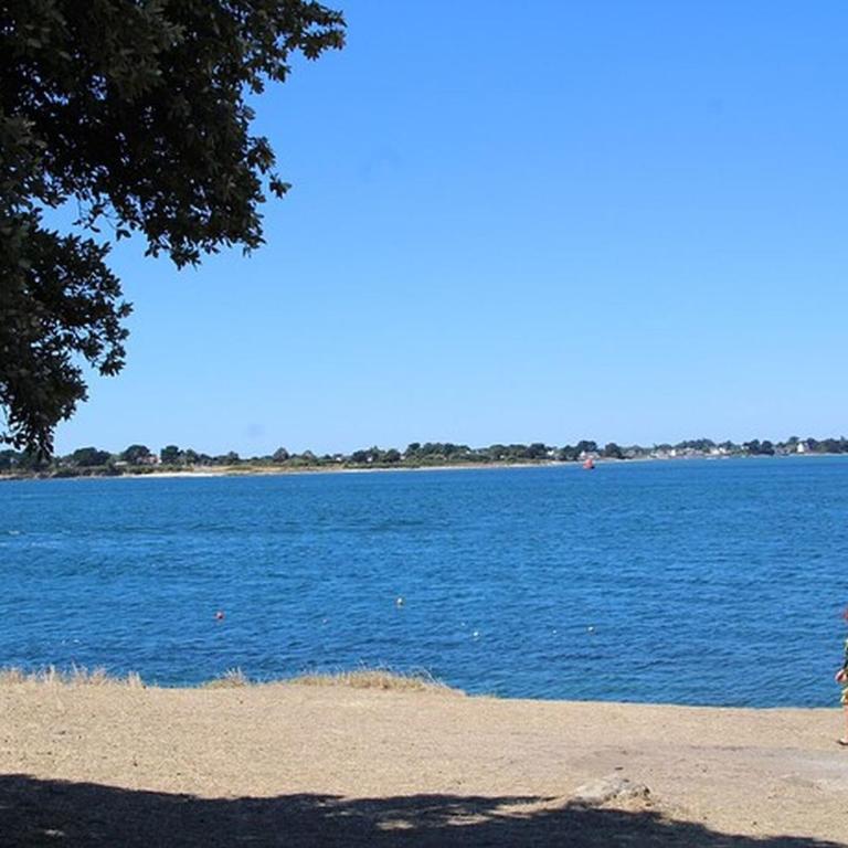 Appartement T3 au calme avec terrasse et parking, proche port du Crouesty - FR-1-775-75 - Appartement - 19
