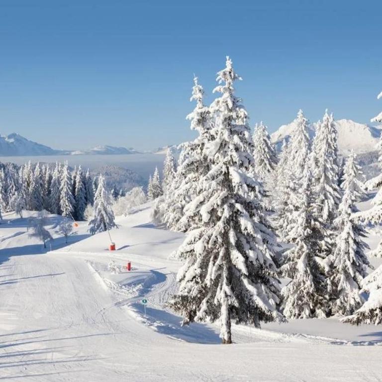 Chalet Abeille 12 Guests • Hot Tub • Free Ski Bus - Chalet Superior - 50
