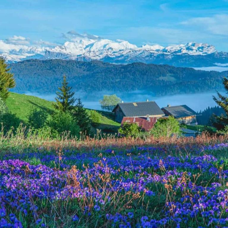 Chalet Abeille 12 Guests • Hot Tub • Free Ski Bus - Chalet Superior - 55