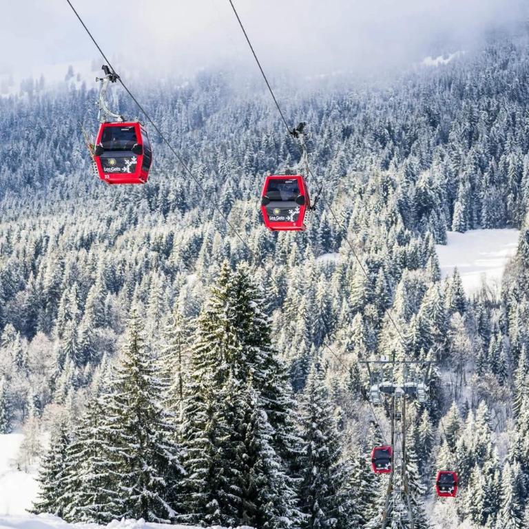 Chalet Abeille 12 Guests • Hot Tub • Free Ski Bus - Chalet Superior - 58
