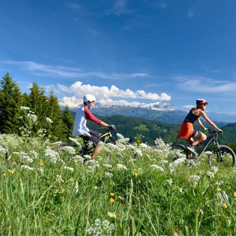 Chalet Abeille 12 Guests • Hot Tub • Free Ski Bus - Chalet Superior - 59