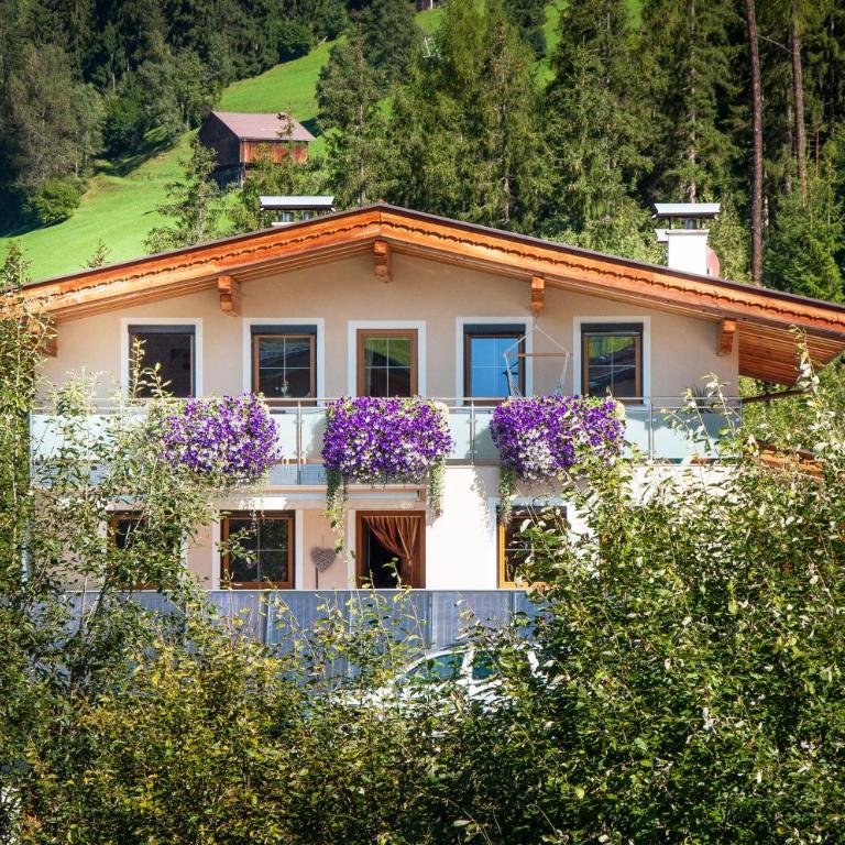 Ferienwohnung Hotter - Apartment - 35