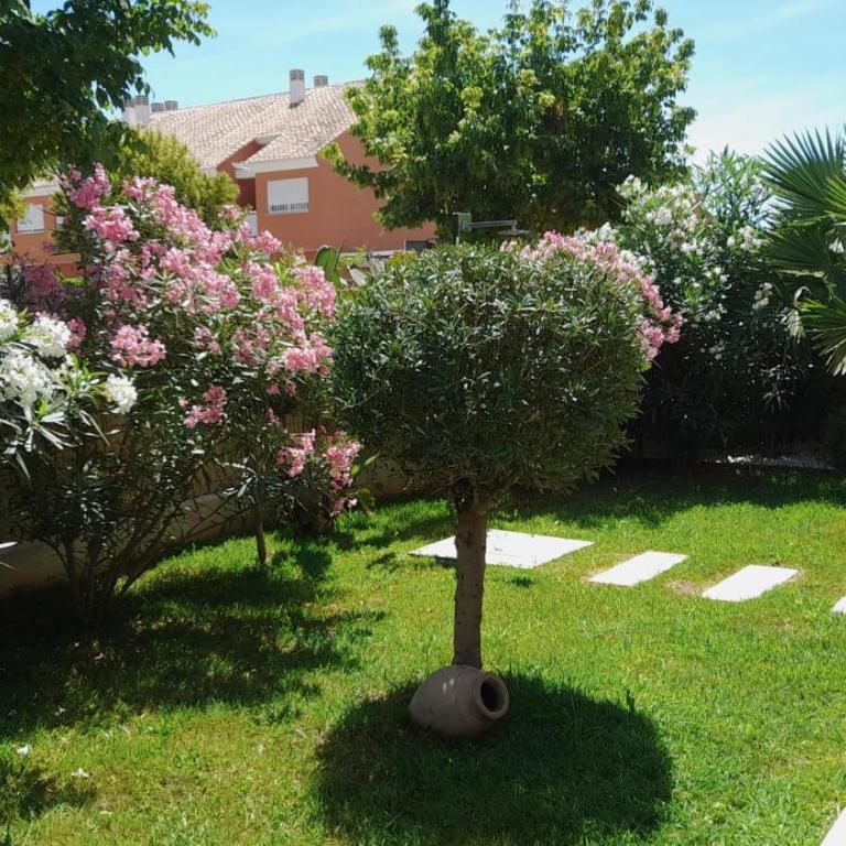 Paraiso Verde Apartment Javea - mit großem Garten und Pool - Apartamento de 2 dormitorios con vistas al jardín - 33