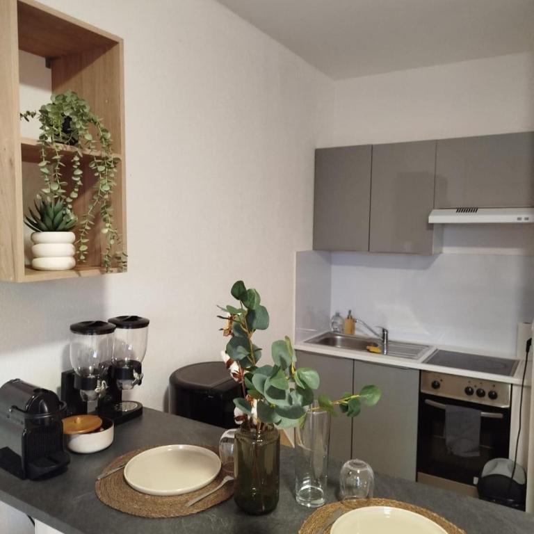 Studio Cosy Centre à 20min de Genève - Appartement 1 Chambre - 5