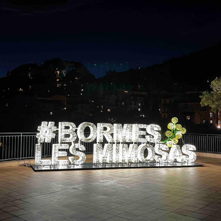 Bormes les Mimosas amazing view - Two-Bedroom Apartment - 23