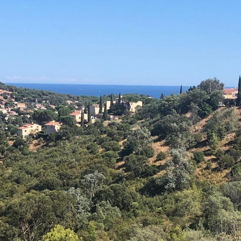 Bormes les Mimosas amazing view - Two-Bedroom Apartment - 22