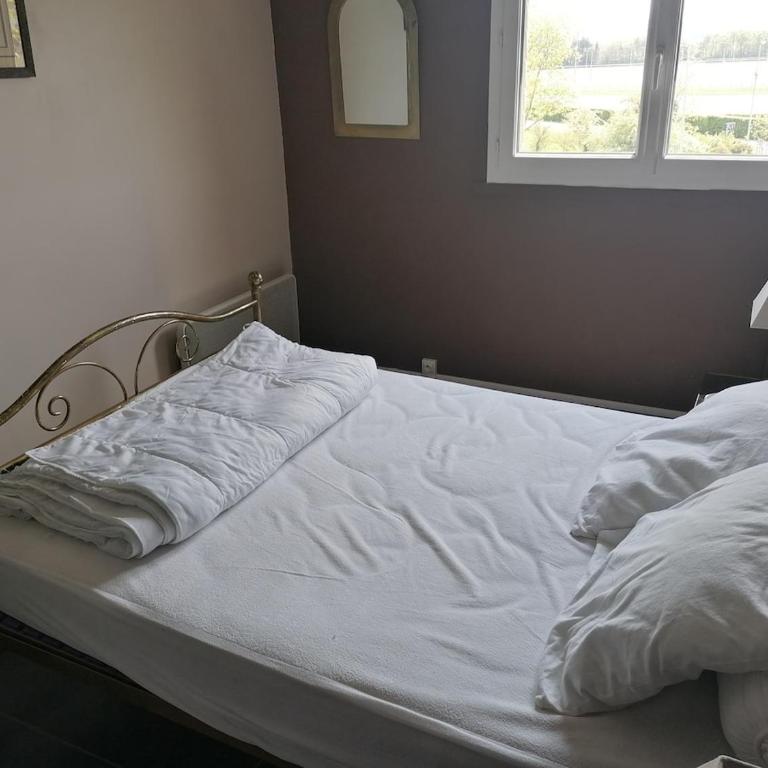 Bel appartement avec vue sur l'hippodrome - Appartement 2 Chambres - 22