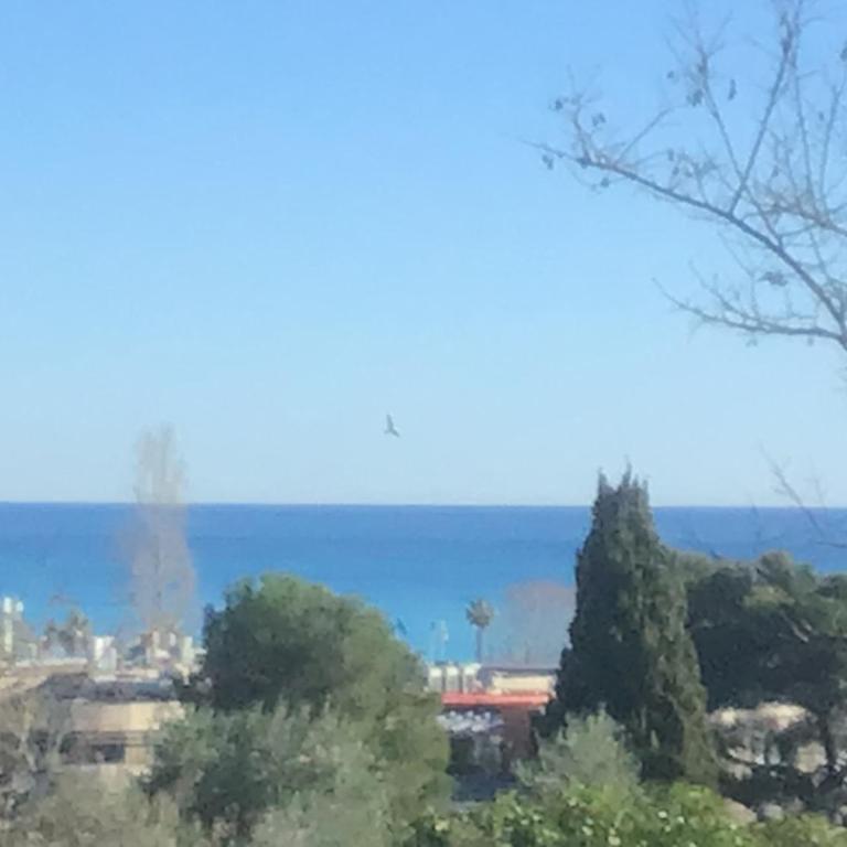 Beautiful tranquil apartment close to the sea - Appartement 1 Chambre - 15