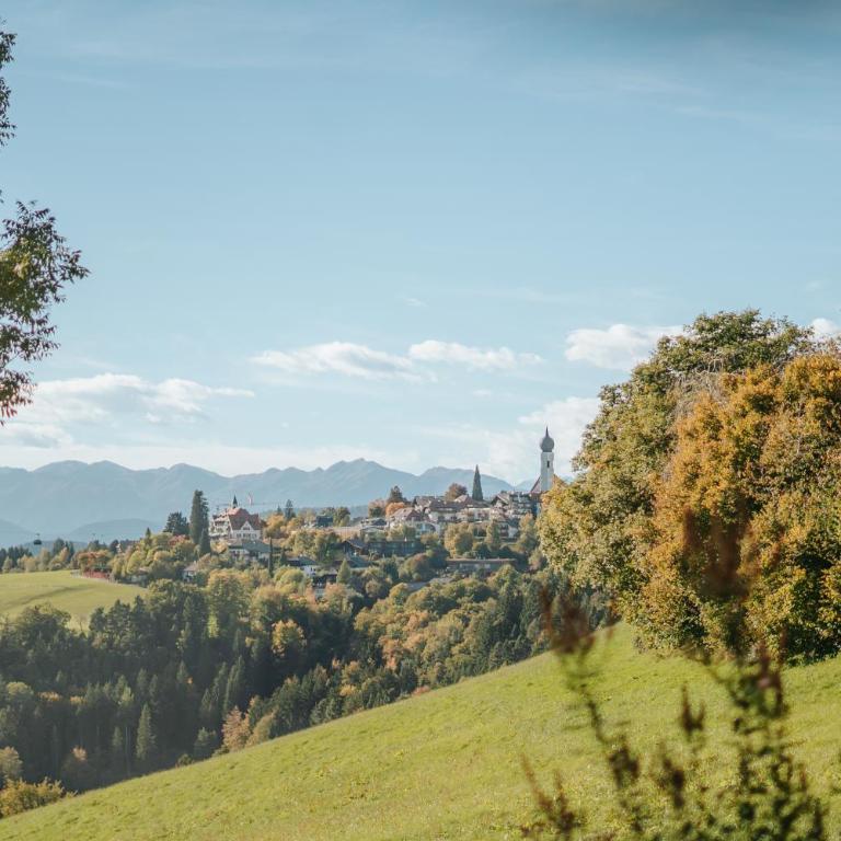 Villa Maier B&B & Apartments - Apartment with View and Balcony - 3