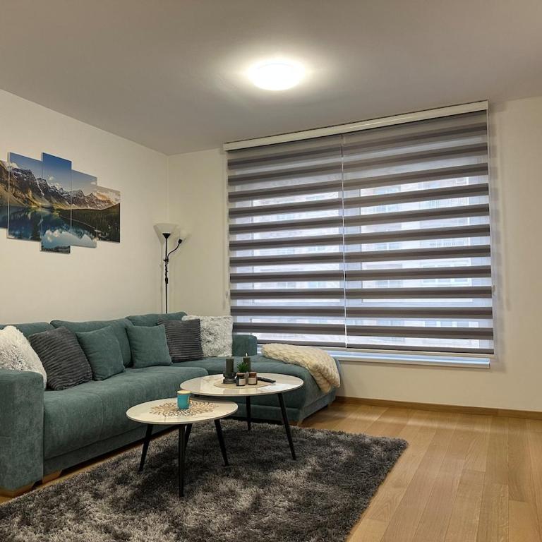 Apartment Sarajevo - Ilidza - Apartman sa 1 Spavaćom Sobom - 1