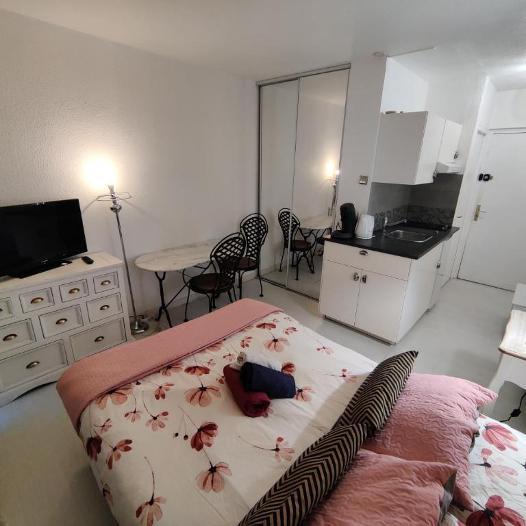 Studio idéal cure ou séjour escapade - Appartement 1 Chambre - 6