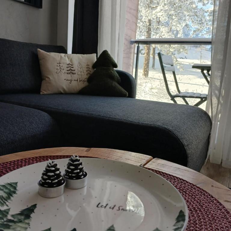 FOREST SIDE Apartmani - Apartman sa 1 Spavaćom Sobom - 19