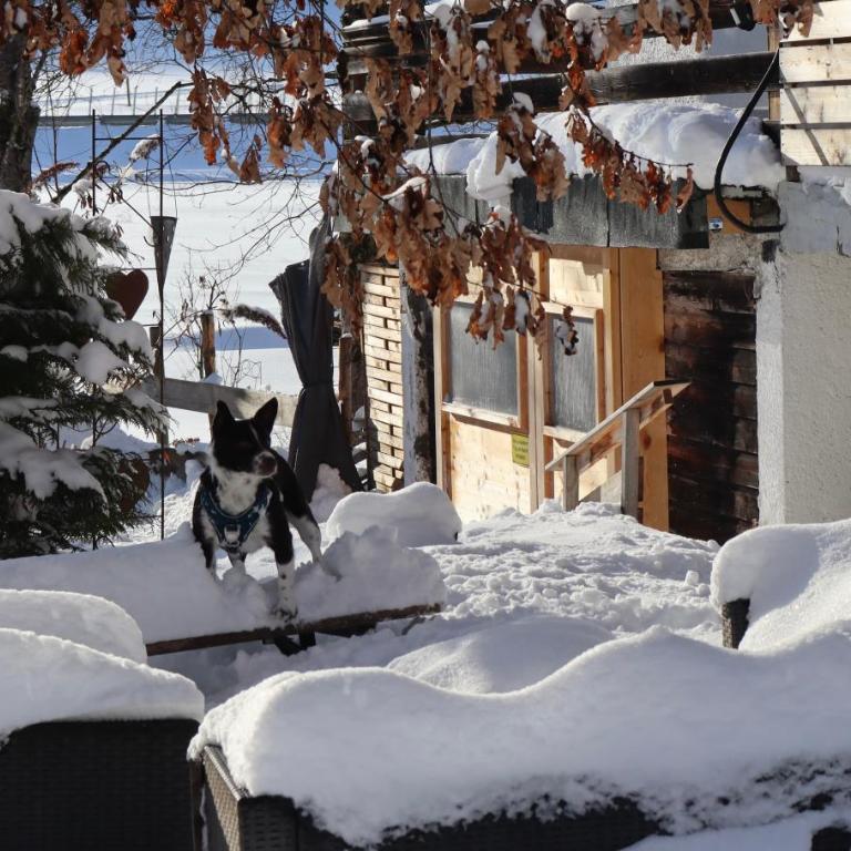 Beim Patzelt - Ferienhaus in Nesselwang - Ferienhaus - 24