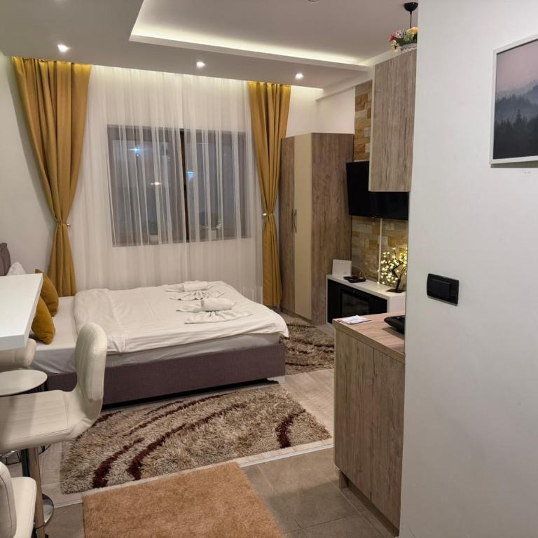 Apartmani Džanković - Studio Apartment - 20