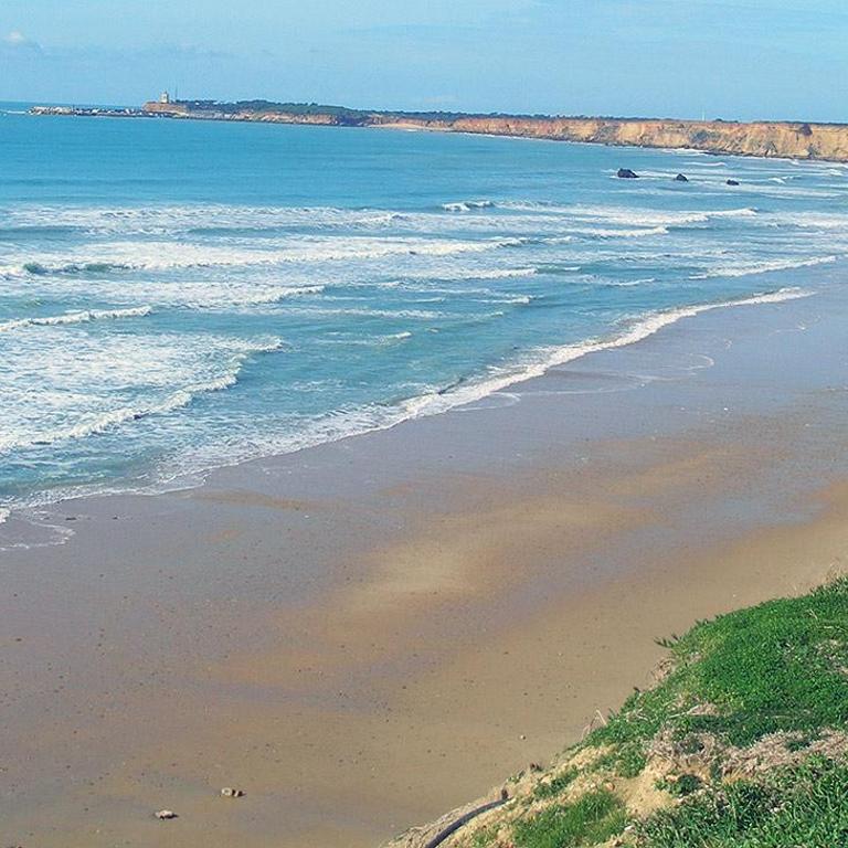 Espectacular apartamento 5 min andando playa - Apartamento de 2 dormitorios con terraza - 3