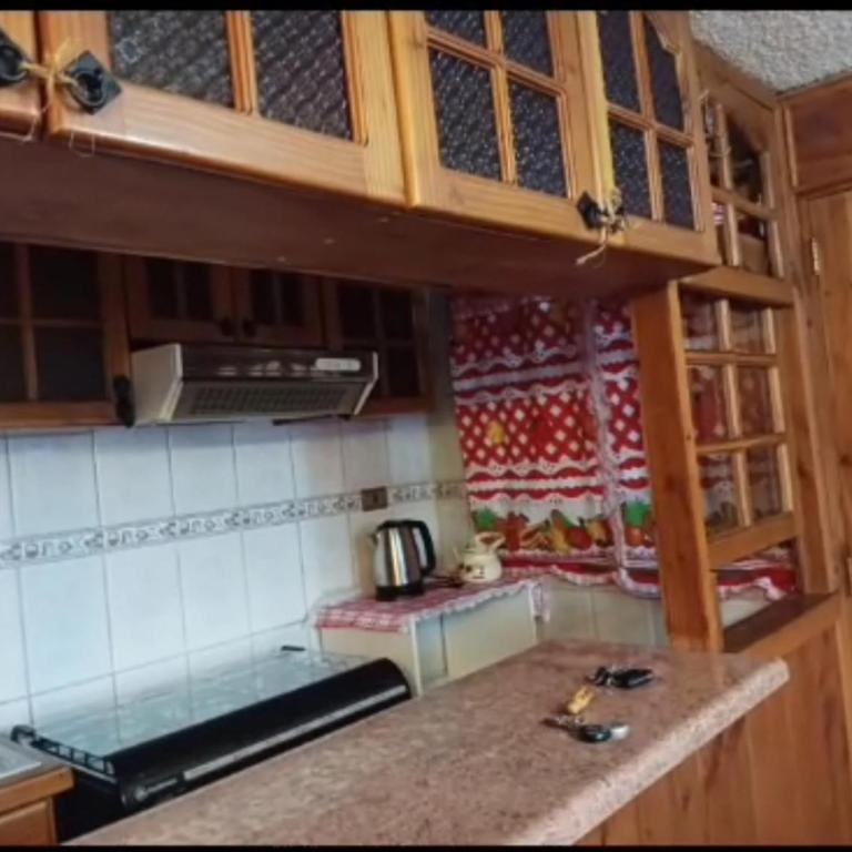 Casa Segunda Faja al Volcán Villarrica - Apartamento de 1 dormitorio - 2
