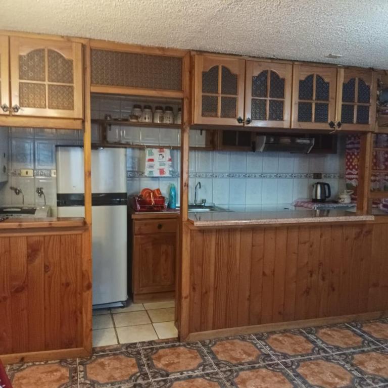 Casa Segunda Faja al Volcán Villarrica - Apartamento de 1 dormitorio - 6