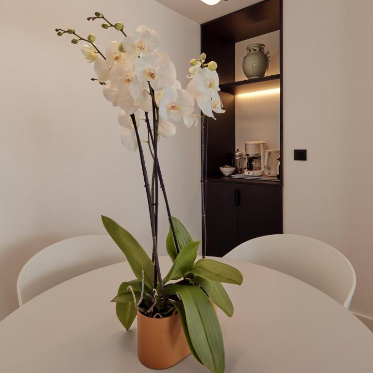 Appartement élégant en plein centre de Paris - Two-Bedroom Apartment - 9