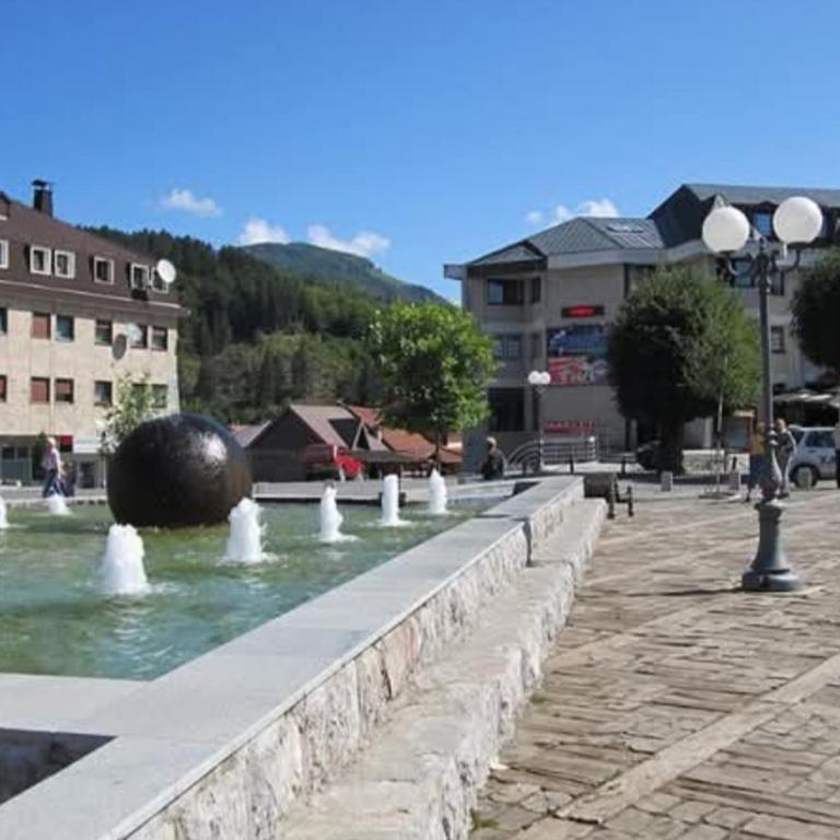 Cozy House near Center Staša - Apartman sa 1 Spavaćom Sobom - 10