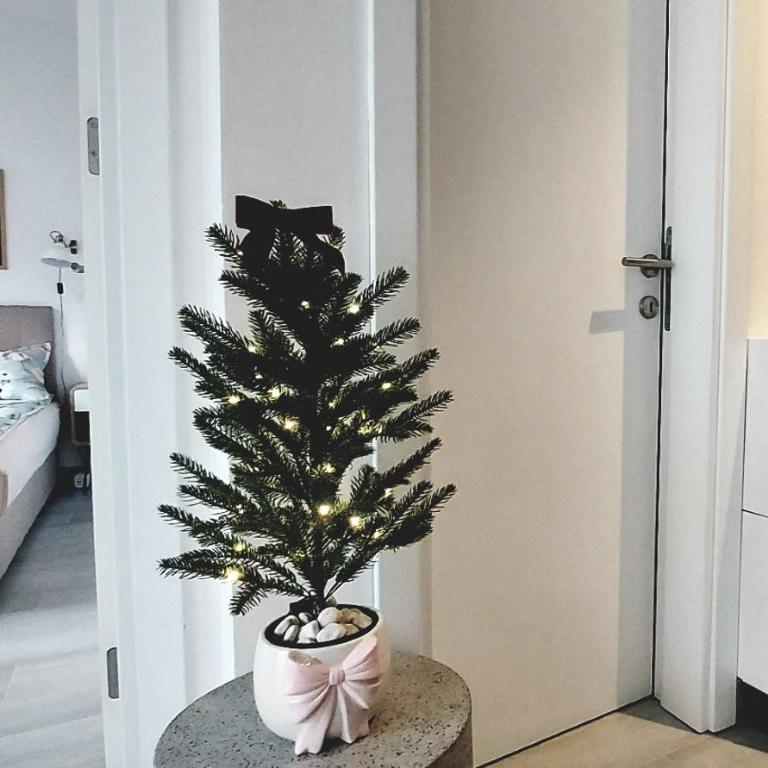 FOREST SIDE Apartmani - Apartman sa 1 Spavaćom Sobom - 17