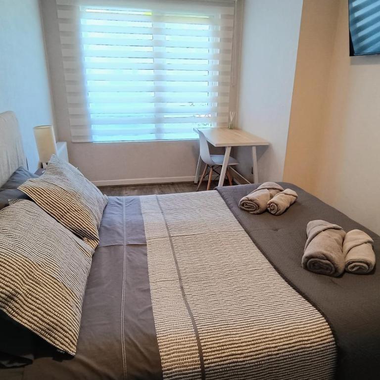 Acogedor y céntrico apartamento en Talca en sector oriente - Two-Bedroom Apartment - 13