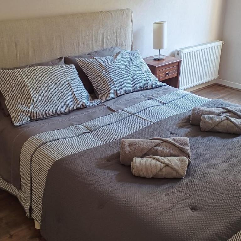 Acogedor y céntrico apartamento en Talca en sector oriente - Two-Bedroom Apartment - 14