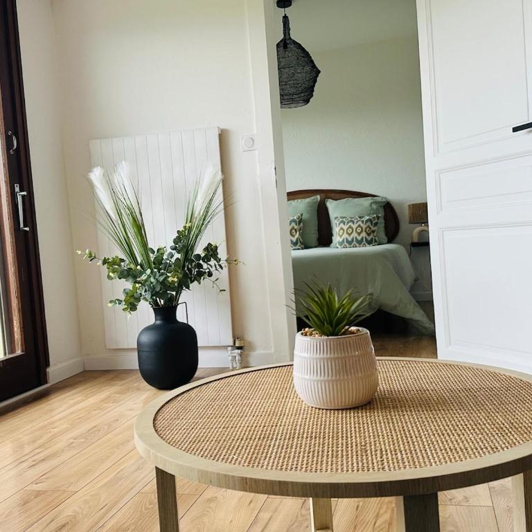 Petit paradis près de Genève et du Lac Léman - Appartement 1 Chambre - 11