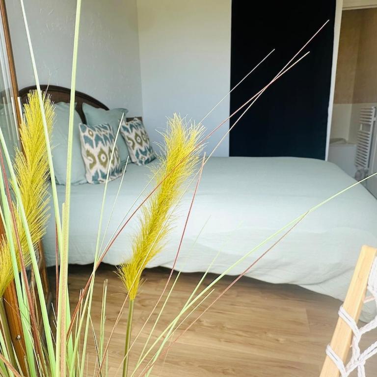 Petit paradis près de Genève et du Lac Léman - Appartement 1 Chambre - 27