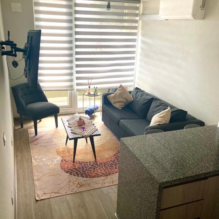Departamento en temuco centro con vista a volcanes - One-Bedroom Apartment - 6