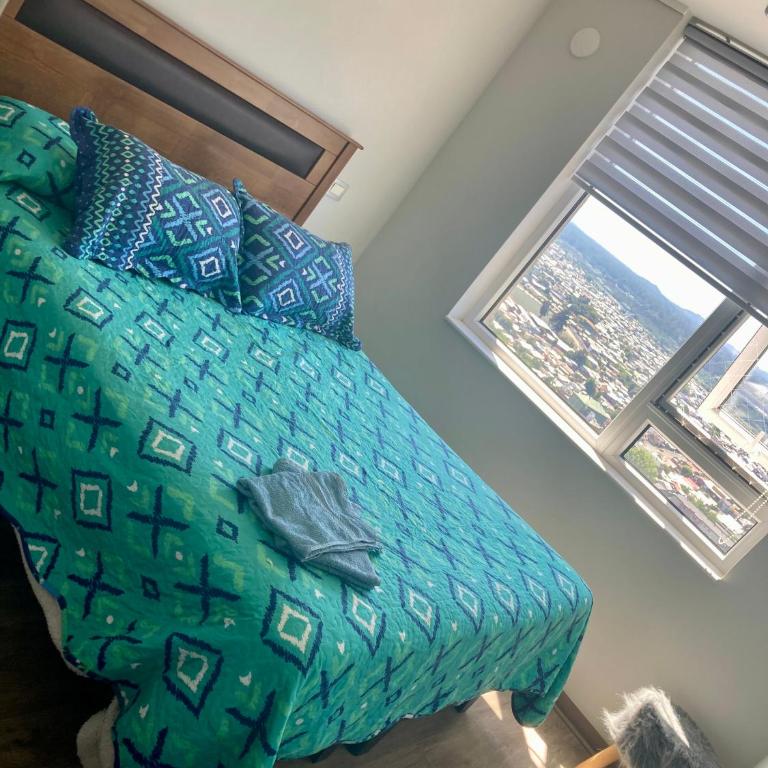 Departamento en temuco centro con vista a volcanes - One-Bedroom Apartment - 11