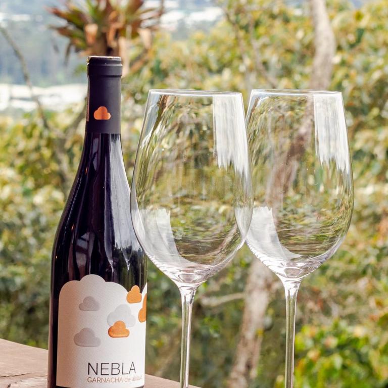 Cabaña Del Ermitaño entre los árboles del bosque de Efímero la Ceja - Chalet - 12