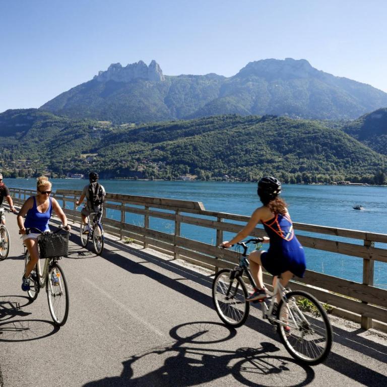 L'Appart des Grands Prés à Doussard entre Lac et Montagnes - Appartement 1 Chambre avec Balcon et Vue sur les Montagnes - 12