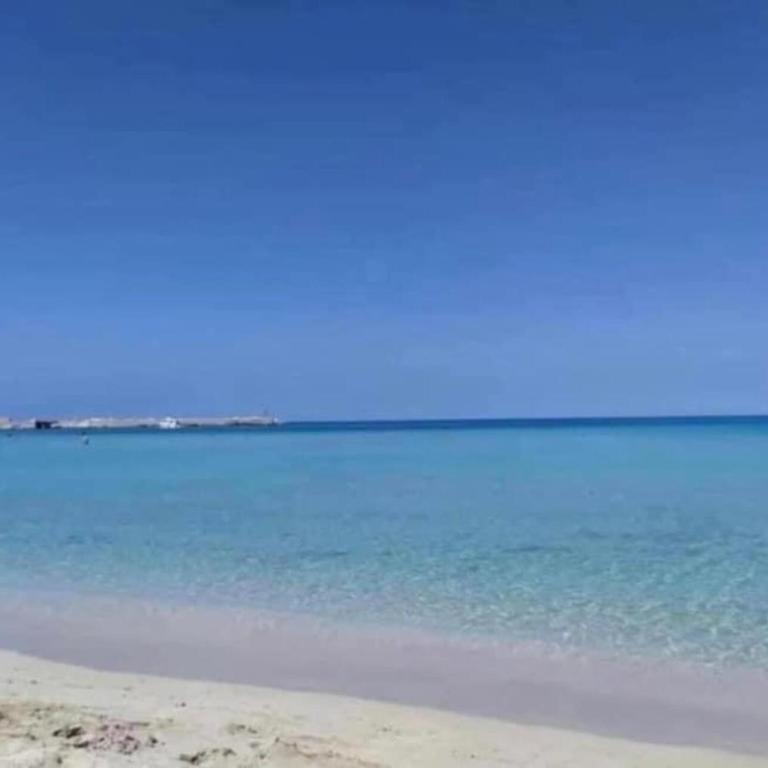 Casa Vacanza l'Oasi Verde San Vito lo Capo - Casa Vacanze - 33