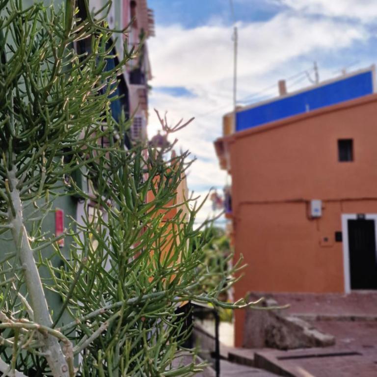 Casa Marta Casco Antiguo - Apartamento de 1 dormitorio - 31