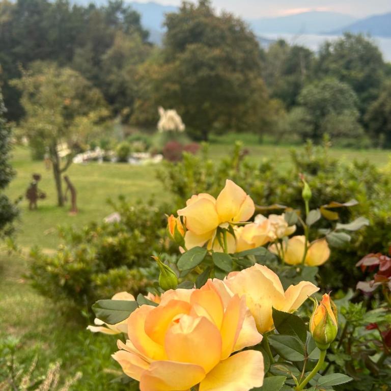 Casa Fiorita, Luino, il tempo rallenta tra lago e fiori - Casa con 2 Camere da Letto - 4