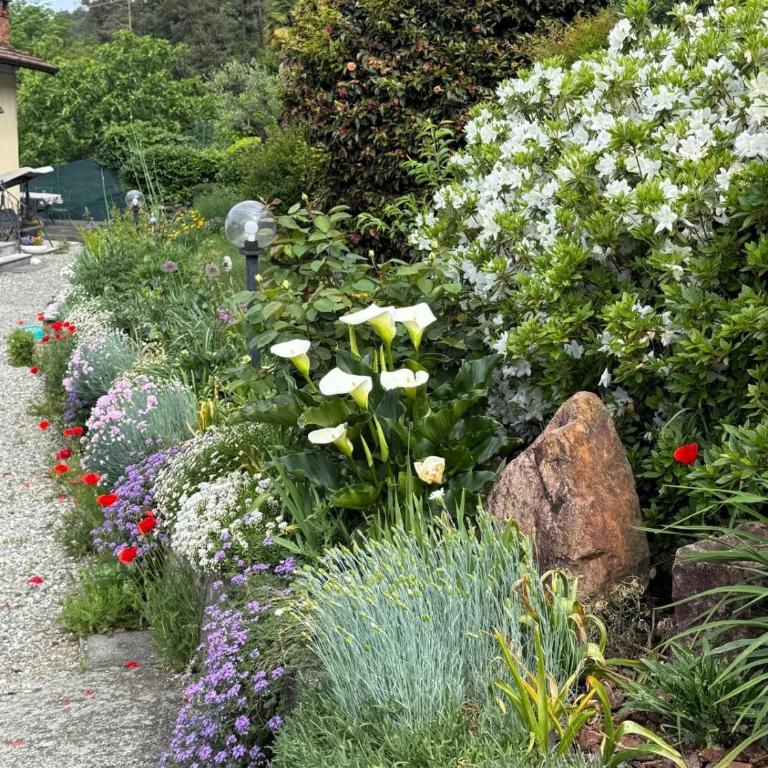 Casa Fiorita, Luino, il tempo rallenta tra lago e fiori - Casa con 2 Camere da Letto - 7