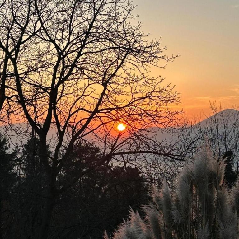 Casa Fiorita, Luino, il tempo rallenta tra lago e fiori - Casa con 2 Camere da Letto - 8