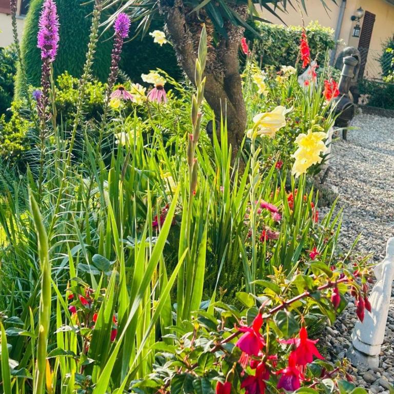 Casa Fiorita, Luino, il tempo rallenta tra lago e fiori - Casa con 2 Camere da Letto - 19